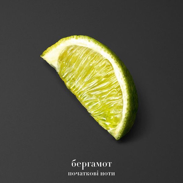 Giorgio Armani Acqua Di Gio еліксир для чоловіків 50 мл (3614274143751) 3614274143751 фото