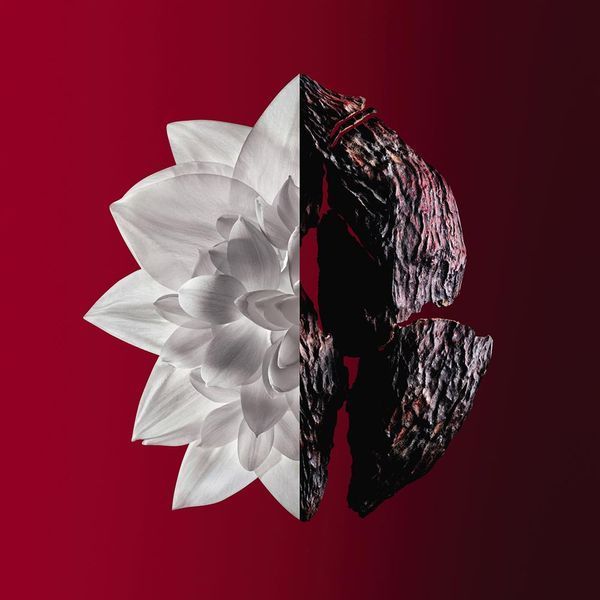 Givenchy L'interdit Rouge Ultime парфумована вода для жінок 80 мл (3274872456341) 3274872456341 фото