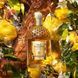 Guerlain Aqua Allegoria Forte Oud Yuzu парфюмированная вода для женщин 125 мл (3346470147430) 3346470147430 фото 8