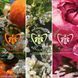 Guerlain Aqua Allegoria Mandarine Basilic туалетная вода для женщин 125 мл (3346470143951) 3346470143951 фото 8