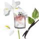 Lancome La Vie Est Belle парфюмированная вода для женщин 30 мл (3605532612690) 3605532612690 фото 4