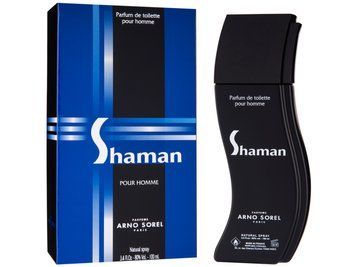 Corania Parfums Shaman туалетна вода для чоловіків 100 мл (MM35415) MM35415 фото