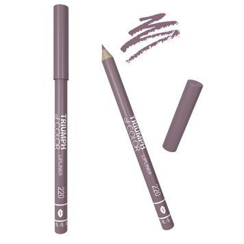 Карандаш для губ TF Cosmetics Triumph Of Color W-212 №220 Avant-garde nude (выразительный нюд) W-212-220 фото