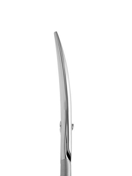 Ножницы для ногтей профессиональные Staleks Pro Smart 30 Type 1 (4820121598349) SS-30/1 фото
