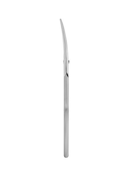 Ножницы для ногтей профессиональные Staleks Pro Smart 30 Type 1 (4820121598349) SS-30/1 фото